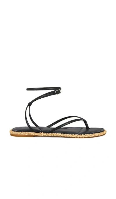 Dolce Vita Cove Sandal In Black