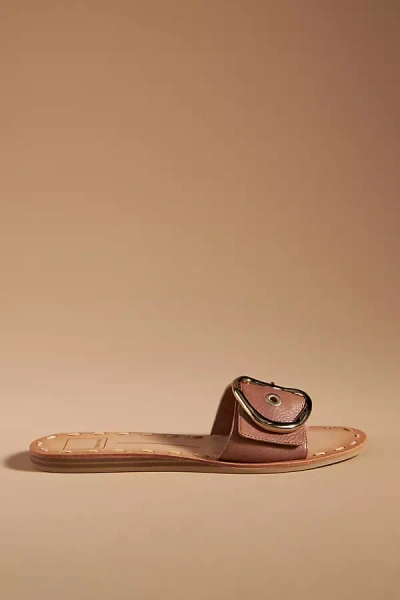 Dolce Vita Danna Sandals In Brown