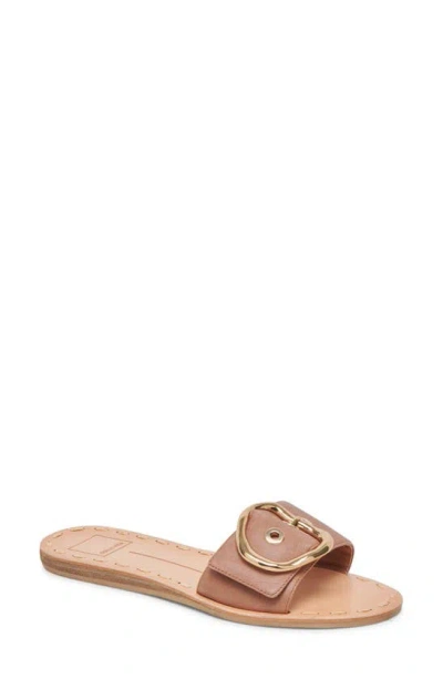 Dolce Vita Danna Slide Sandal In Cider Leather