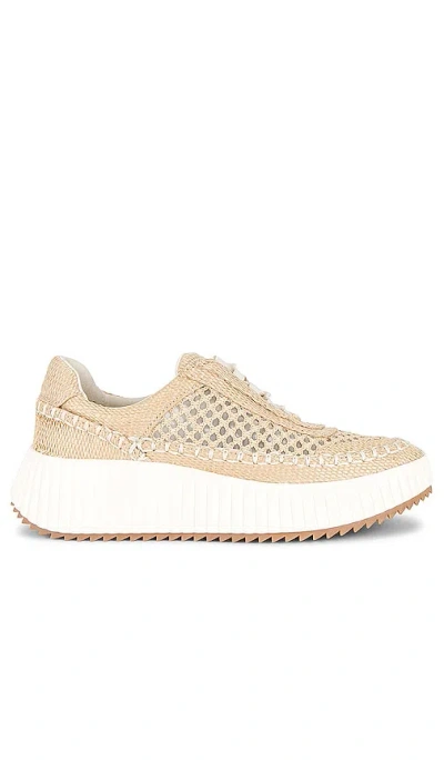 Dolce Vita Dolen Sneaker In Brown