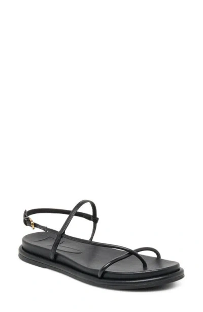 Dolce Vita Dom Strappy Sandal In Black