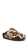 Dolce Vita Dv By  Anina Faux Shearling Lined Mule In Multi