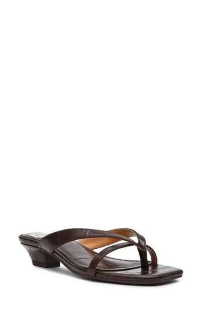 Dolce Vita Dv By  Bex Kitten Heel Sandal In Brown