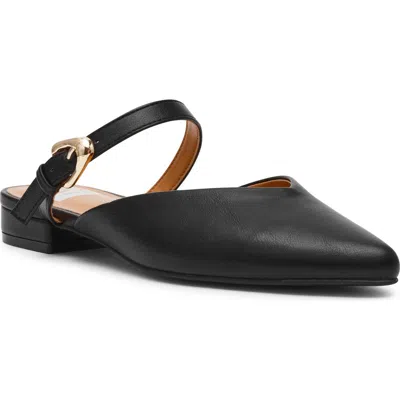 Dolce Vita Dv By  Domainica Mule In Black