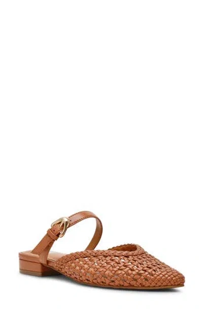 Dolce Vita Dv By  Domainica Woven Mule In Brown