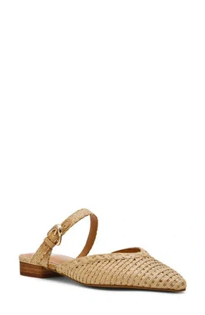 Dolce Vita Dv By  Domainica Woven Mule In Brown