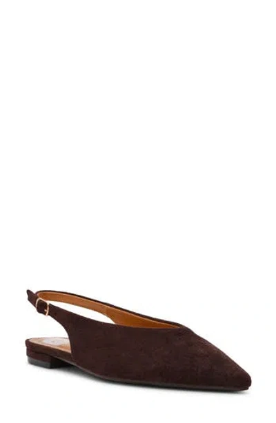 Dolce Vita Dv By  Empress Pointed Toe Slingback Flat In Brown