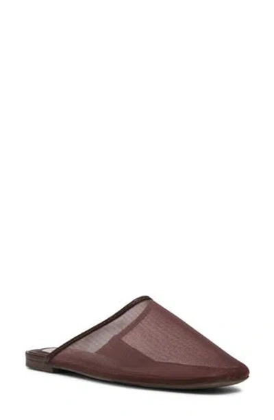 Dolce Vita Dv By  Felicia Mule In Brown
