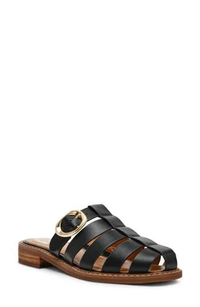 Dolce Vita Dv By  Fyona Mule Sandal In Black