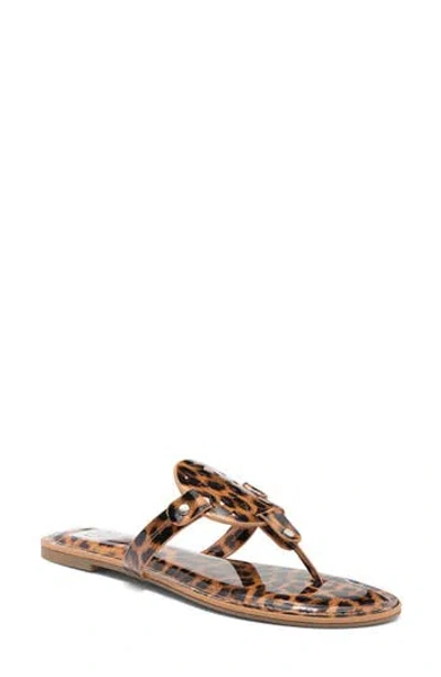 Dolce Vita Dv By  Gotie Laser Cut Studded Thong Sandal In Leopard Patent