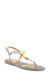 Dolce Vita Dv By  Jaime T-strap Sandal In Jaime Exotic