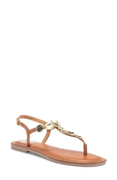 Dolce Vita Dv By  Jaime T-strap Sandal In Tan