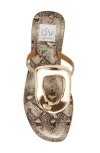 Dolce Vita Dv By  Jameson Sandal In Exotic