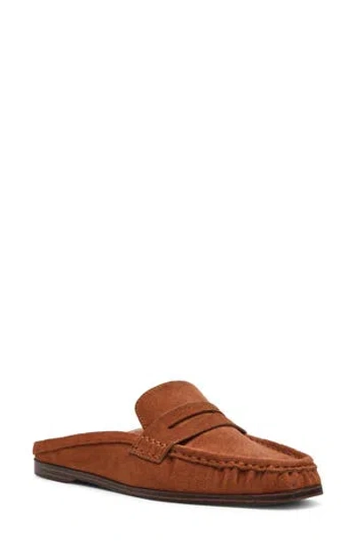 Dolce Vita Dv By  Messner Flat Mule In Chestnut