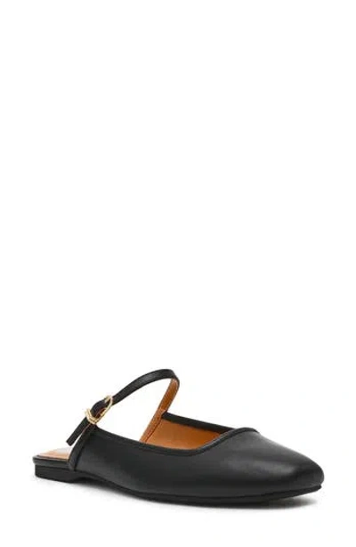 Dolce Vita Dv By  Montrice Mule In Black