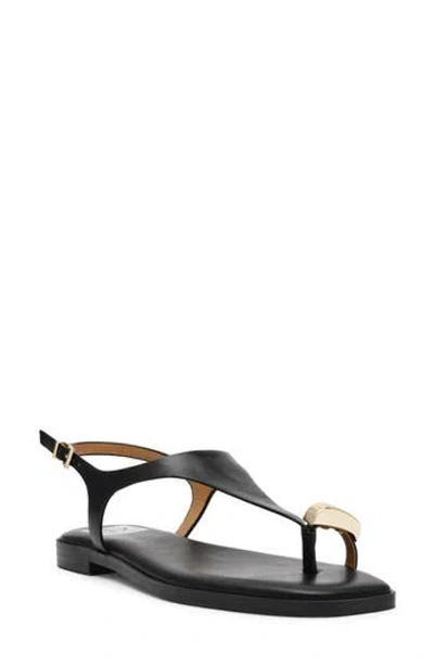 Dolce Vita Dv By  Mylo Sandal In Black