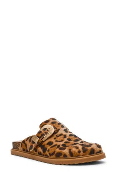 Dolce Vita Dv By  Yeehaw Faux Calf Hair Mule In Multi