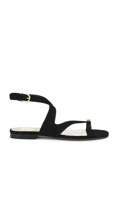 Dolce Vita Earla Sandal In Black