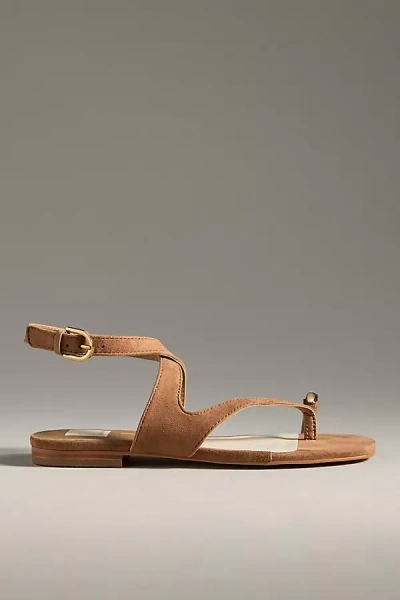 Dolce Vita Earla Toe-ring Sandals In Brown