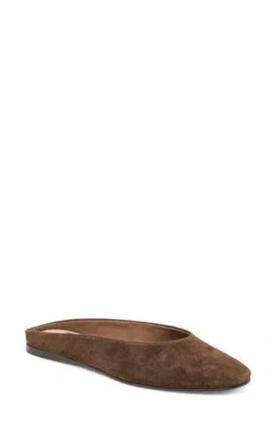Dolce Vita Eila Mule In Dark Brown Suede