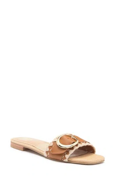 Dolce Vita Grecia Slide Sandal In Tan Leather