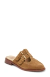 Dolce Vita Haydee Double Buckle Mary Jane Mule In Brown