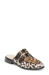 Dolce Vita Haydee Double Buckle Mary Jane Mule In Animal Print