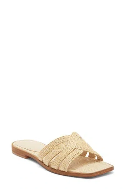 Dolce Vita Ilane Raffia Slide Sandal In Brown