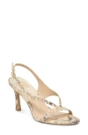 Dolce Vita Izela Slingback Sandal In Neutral