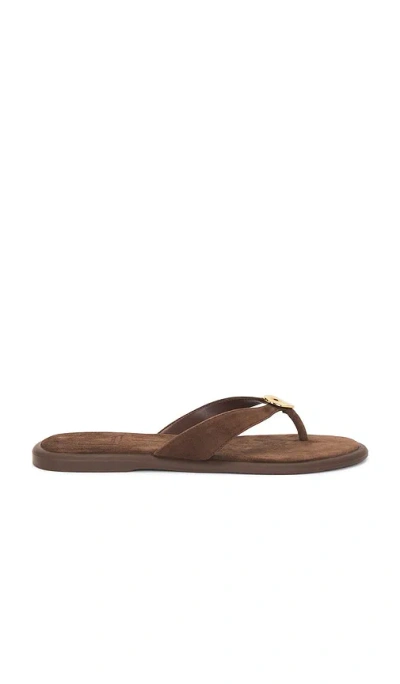 Dolce Vita Jaina Sandals In Brown Size 12 By