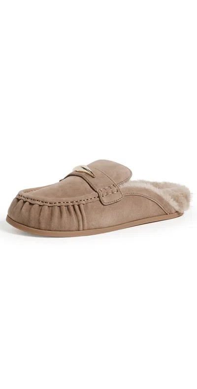 Dolce Vita Jodero Plush Mules Mushroom Suede In Brown