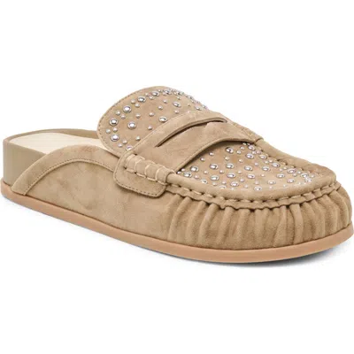 Dolce Vita Jodero Stud Mule In Brown
