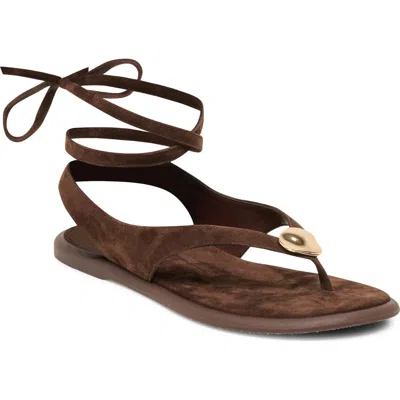Dolce Vita Judy Ankle Wrap Sandal In Brown