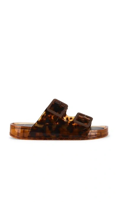 Dolce Vita Julio Jelly Sandals Tortoise Vinyl In Multi