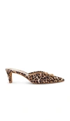 Dolce Vita Women's Lexy Pointed Mules In Brown