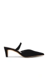 Dolce Vita Kanika Kitten Heel Pump In 黑色