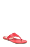 Dolce Vita Kittle Sandal