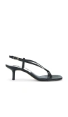 Dolce Vita Laury Strappy Sandal In 黑色