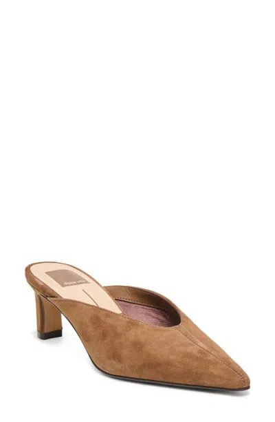 Dolce Vita Lavina Pointed Toe Mule In Brown