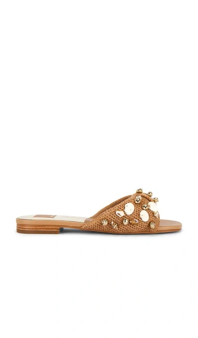 Dolce Vita Lizza Sandal In Brown