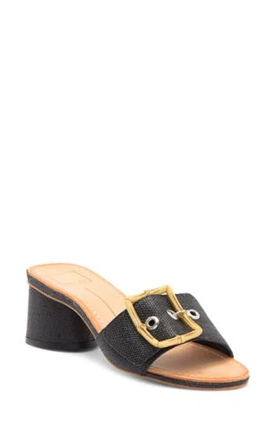 Dolce Vita Lucey Slide Sandal In Black Raffia