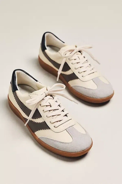 Dolce Vita Merit Sneakers In Neutral