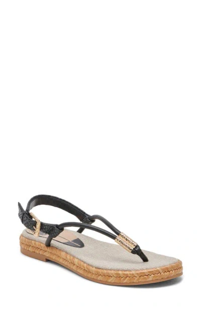 Dolce Vita Meryl Slingback Sandal In Black Stella