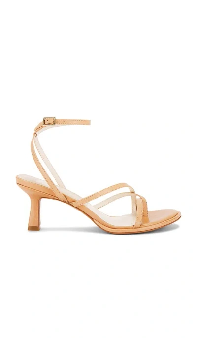 Dolce Vita Morah Sandal In Cafe