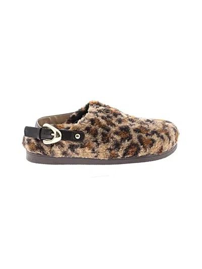 Pre-owned Dolce Vita Mule/clog In Brown