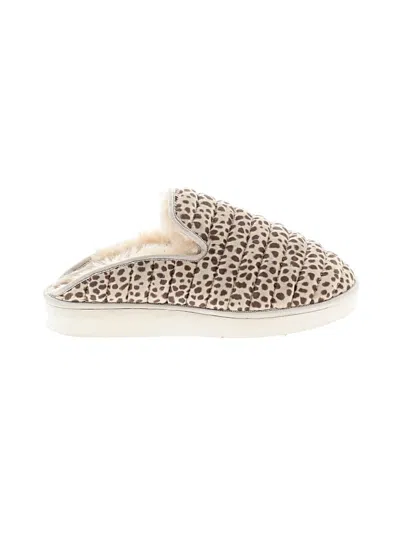 Pre-owned Dolce Vita Mule/clog In Ivory