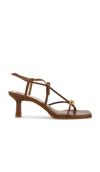 Dolce Vita Mylee Sandal In Brown
