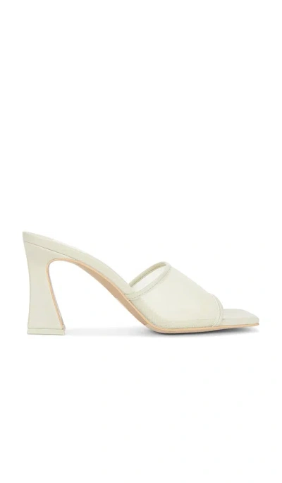 DOLCE VITA NARDA HEEL