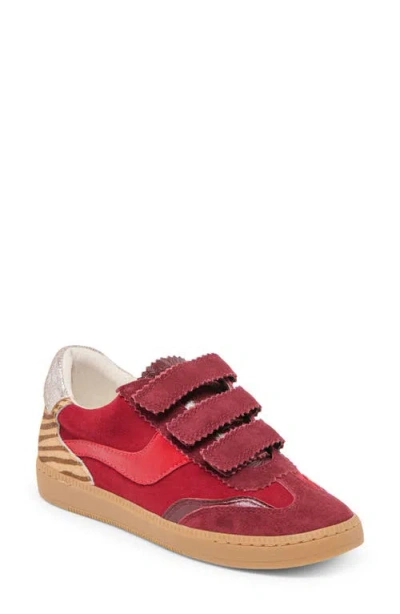 DOLCE VITA DOLCE VITA NOTICE SNEAKER