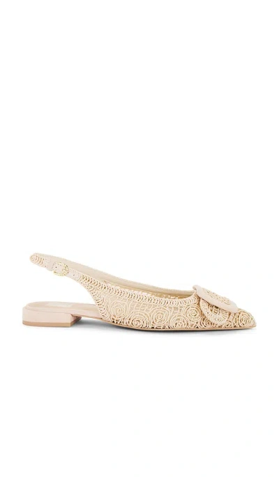 Dolce Vita Pauley Sandal In Natural